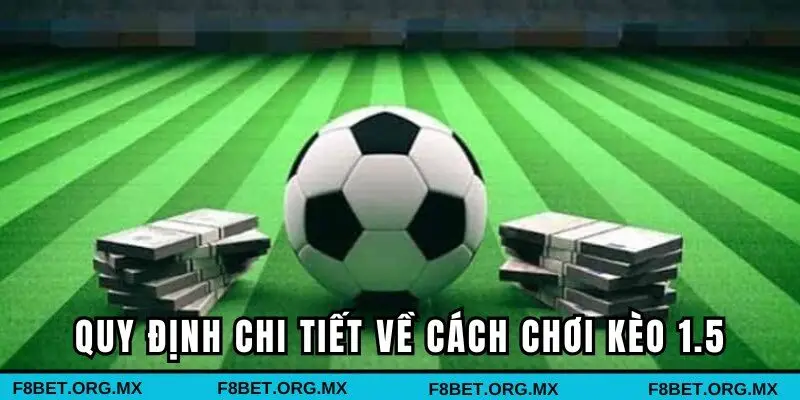 Quy định rõ ràng khi hội viên tham gia tại nhà cái