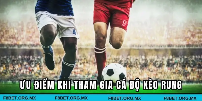 Lợi thế khi tham gia cá cược tại sân chơi