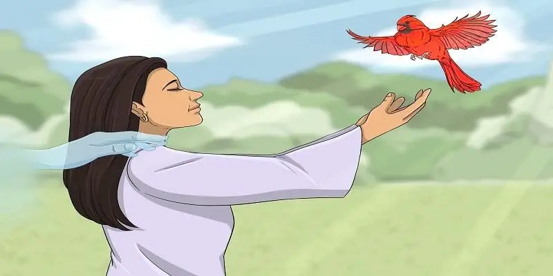 Mơ Thấy Con Chim - Giải Mã Và Con Số May Mắn Tại F8bet